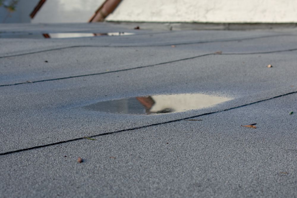 flatroof-4