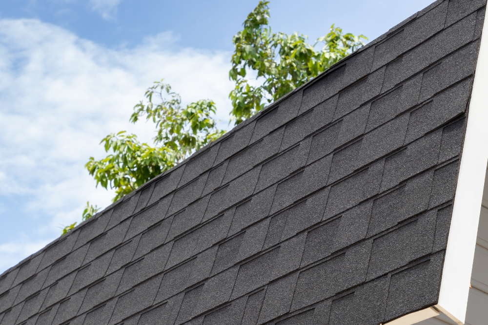 shingle-roof-1
